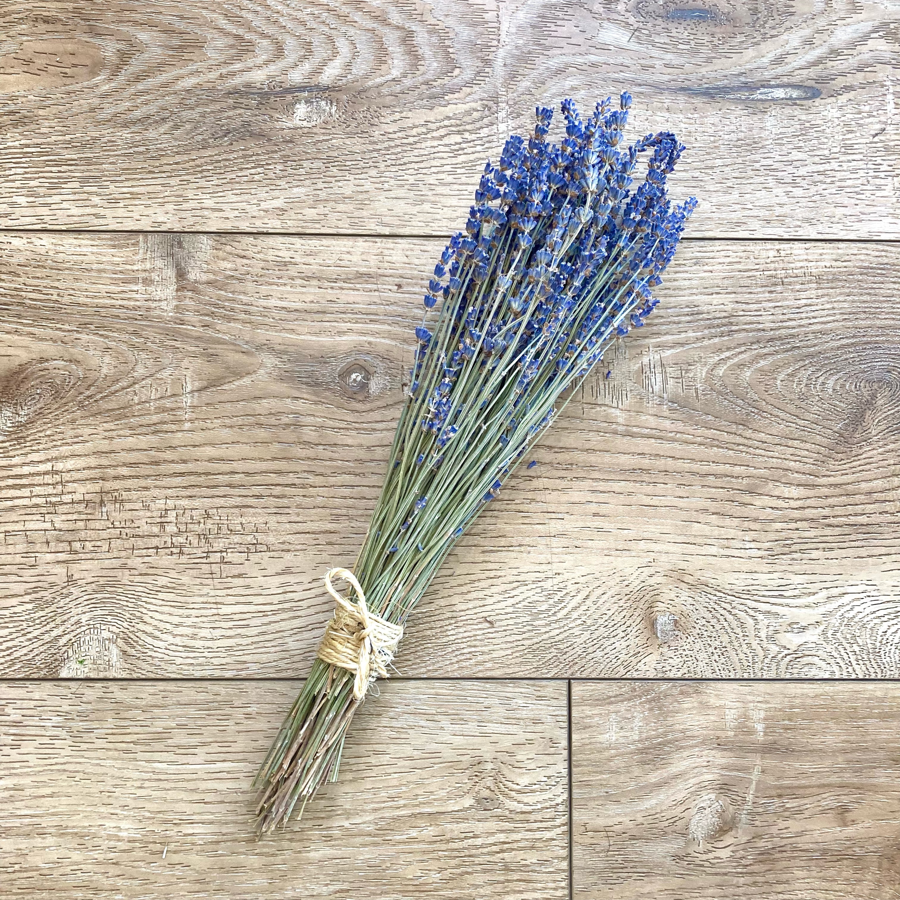 Lavender Bundle
